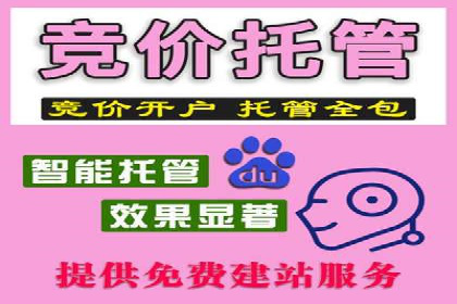 信息流广告投放成功案例分析